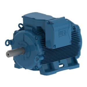10HP 3PH 215T 4P TEAO 1800 208-230/460V CI CT