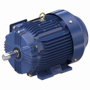 5HP 3PH 215T 6P TEFC 1200 230/460V WB