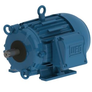 75HP 3PH 365T 4P TEFC 1800 208-230/460V CI