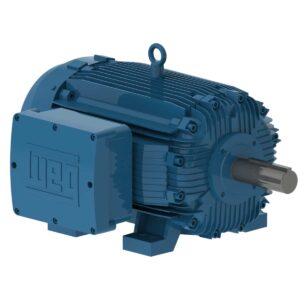 0.18KW 3PH 63 2P TEFC 3600 230/460V CI