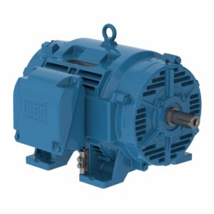 75HP 3PH 405T 6P ODP 1200 208-230/460V CI