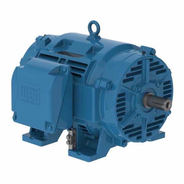 75HP 3PH 365TS 4P ODP 1800 208-230/460V CI